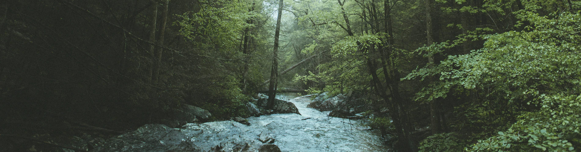 Monitoring Dashboard